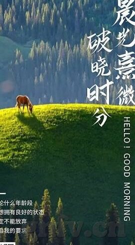 91麻豆精品国产91久-真实灵魂的独特魅力 —— 微探91麻豆精品国产91久中的文化与情感