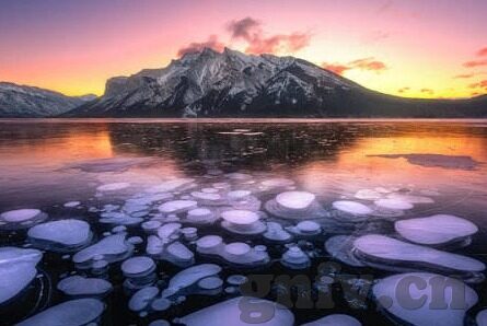 果冻传媒白晶晶-探索果冻传媒与白晶晶的璀璨交汇