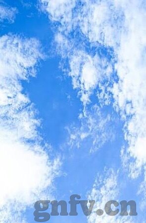 伦理看伦理片-伦理视角下的伦理片，心灵的试炼场与道德的镜像