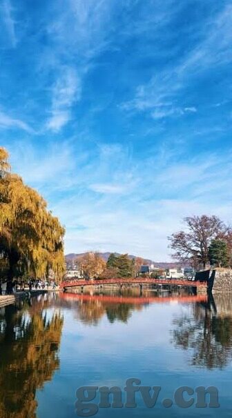 麻豆91tv-探访麻豆91tv，成人内容创作的革新与影响